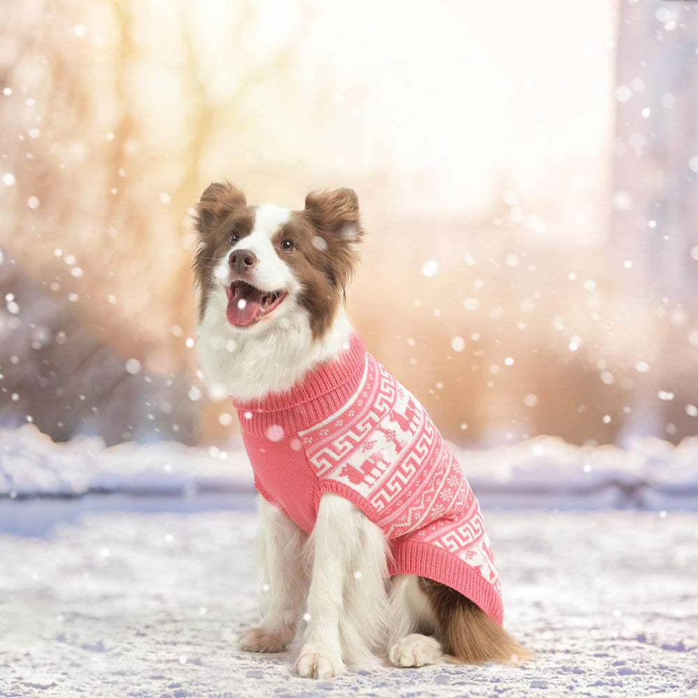 SCENEREAL pink dog sweater showcased as winter-ready outfit for small to medium dogs.