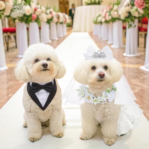 SCENEREAL puppy triangle scarf coordinates with the set for festive photos.