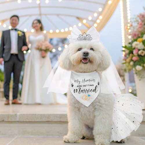 SCENEREAL simulated garland adds charming detail to your dog's look.