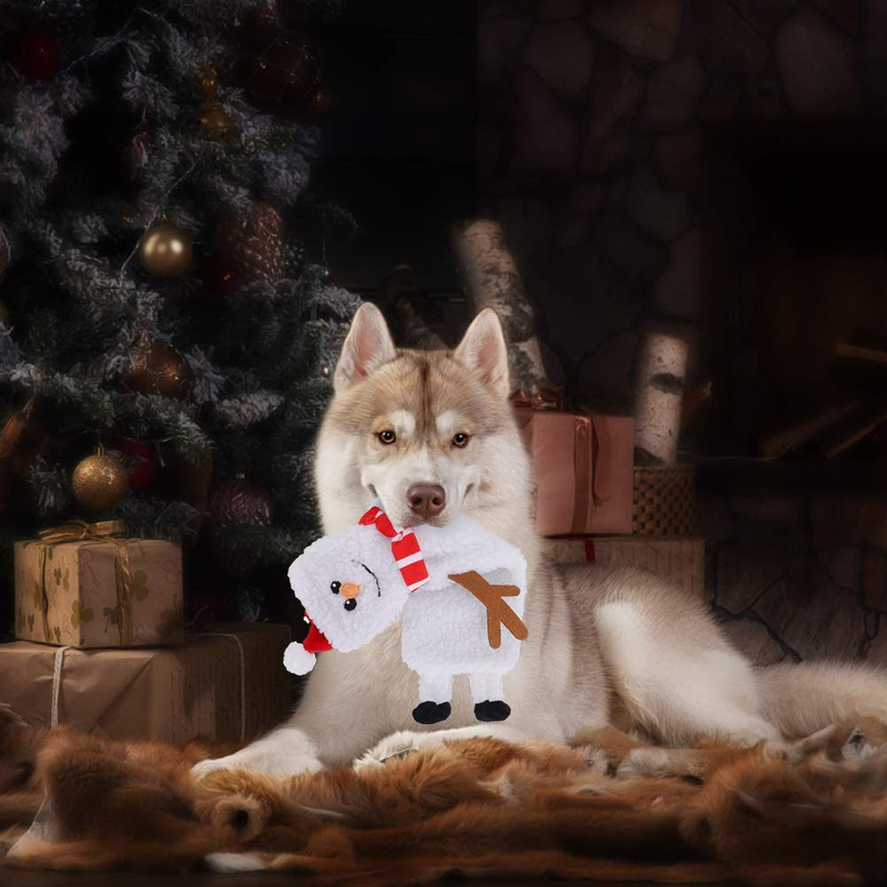 SCENEREAL Stuffless dog toy versatile indoor outdoor play to redirect energy.