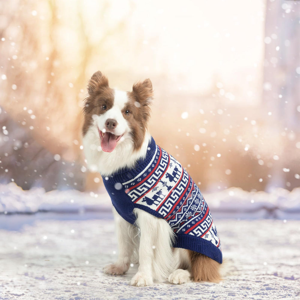 SCENEREAL Turtleneck Dog Sweater worn by a dog for everyday cozy wear.