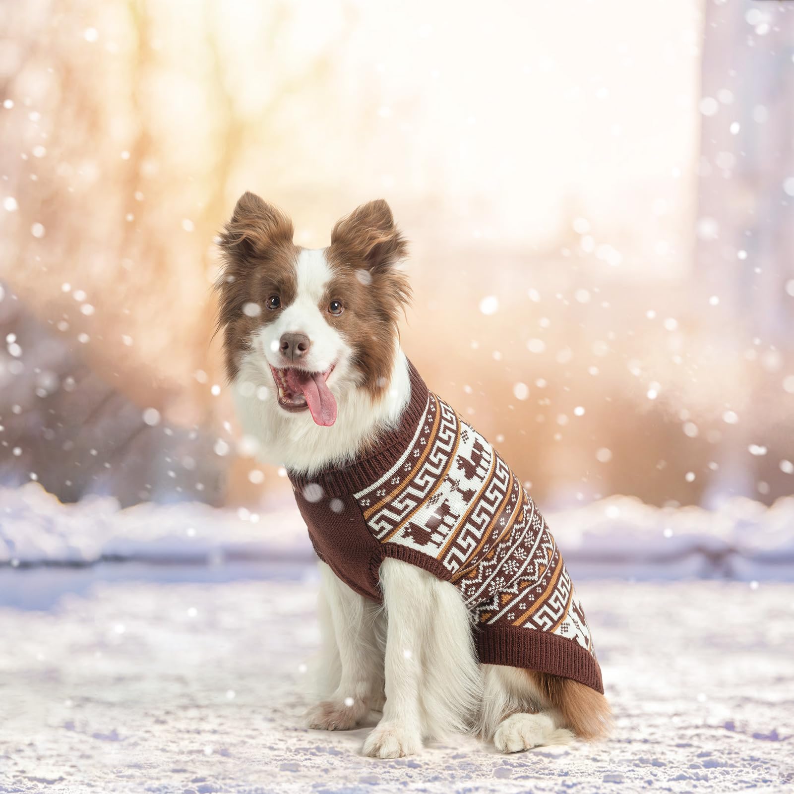 SCENEREAL turtleneck dog sweater winter wear emphasizes neck warmth and comfort