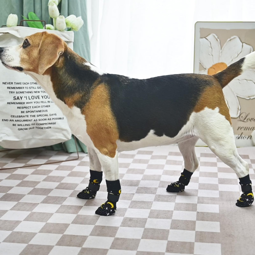 SCENEREAL warm paw protection keeps paws cozy during cold seasons.