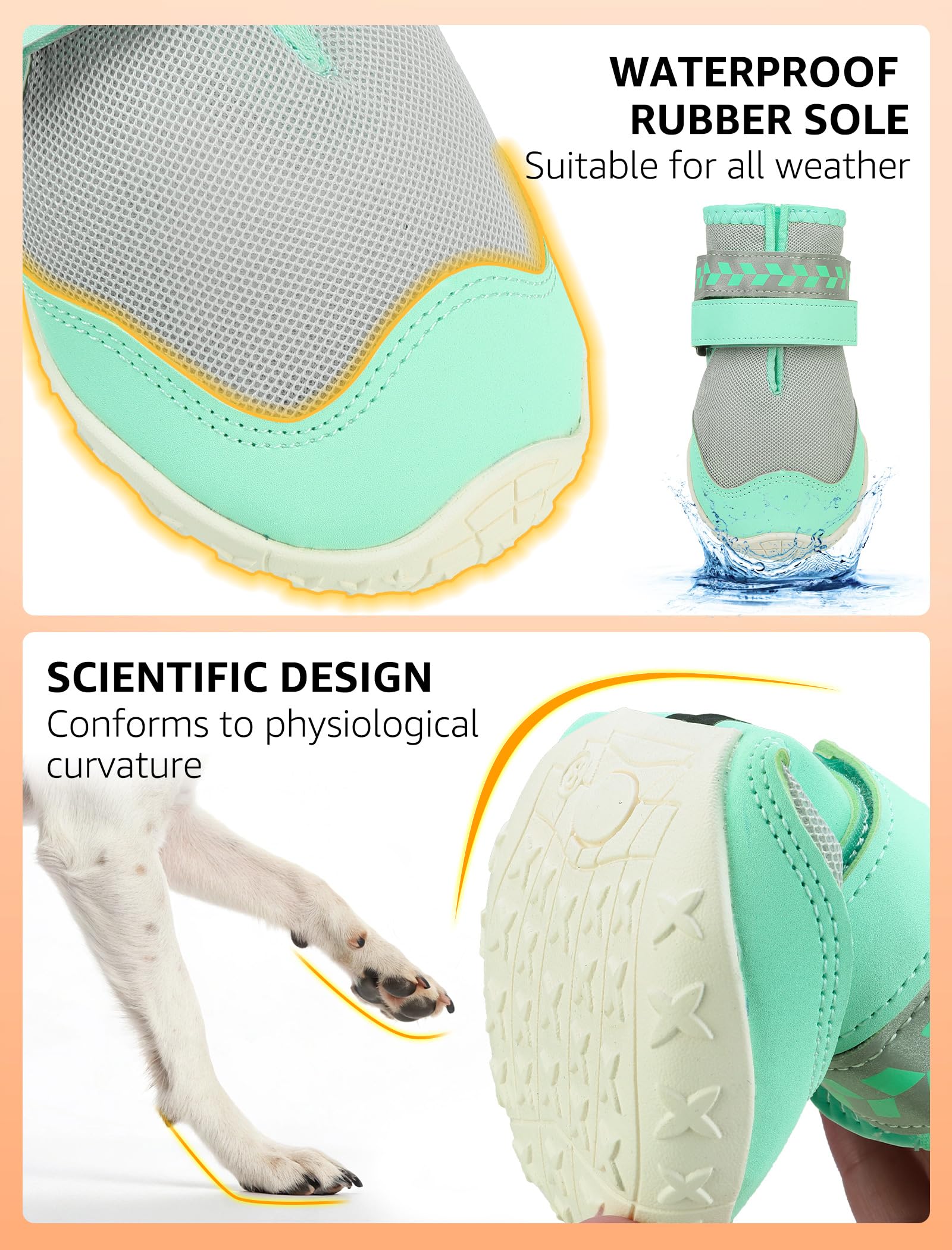 SCENEREAL breathable mesh upper keeps paws cooler in warm weather.