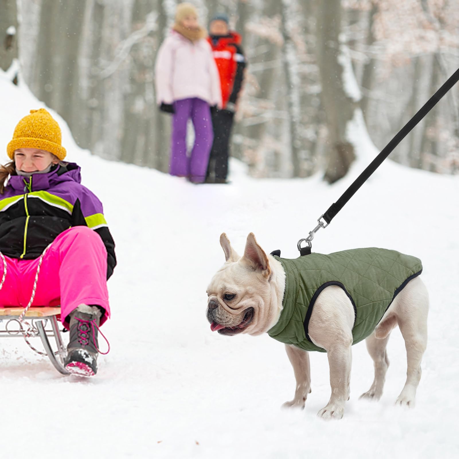 SCENEREAL winter dog vest belly cut for easy bathroom breaks