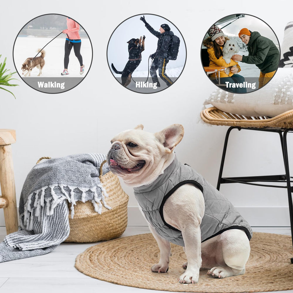 SCENEREAL belly-cut design eases potty breaks for small dogs.