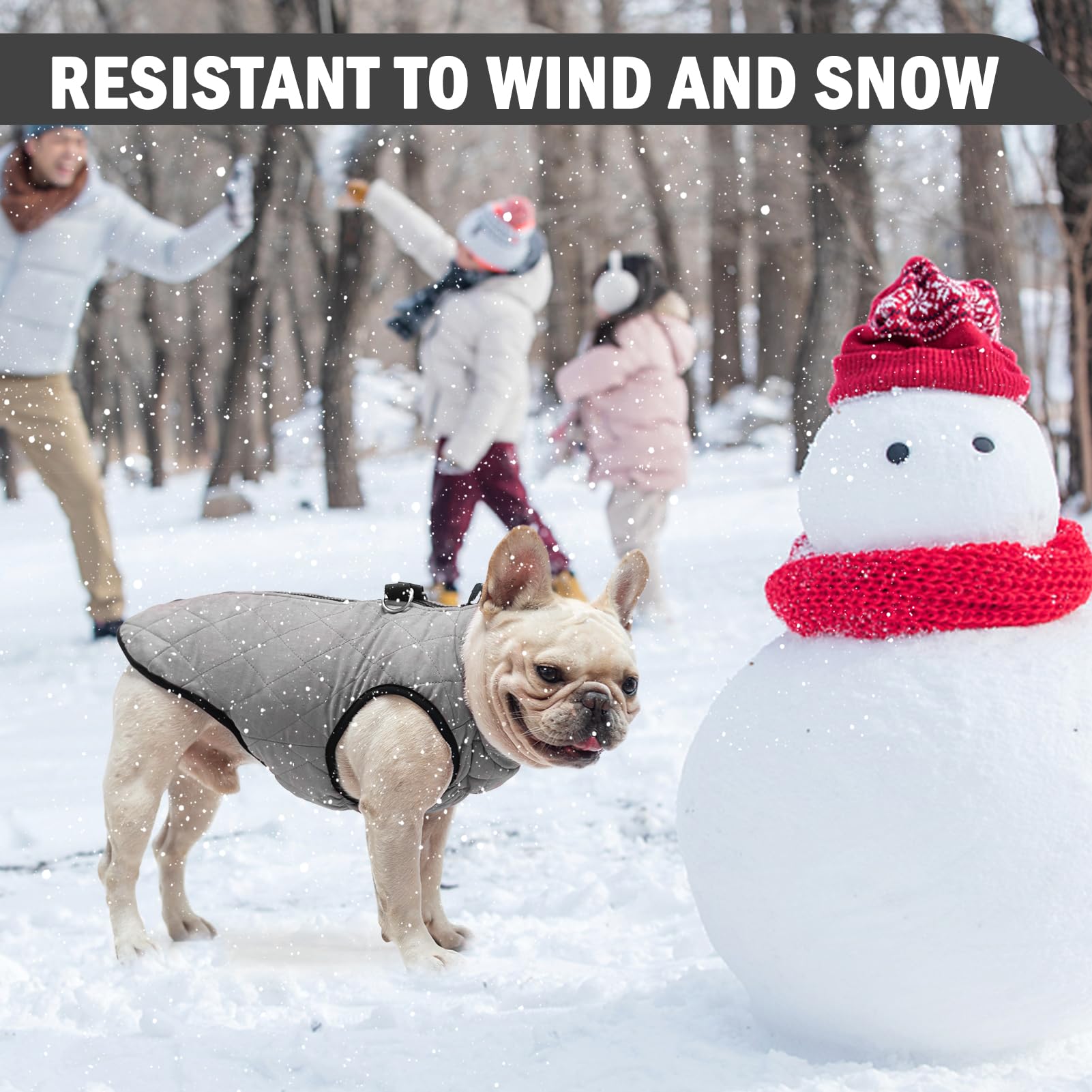 SCENEREAL chest-elastic band secures warmth without restricting movement.