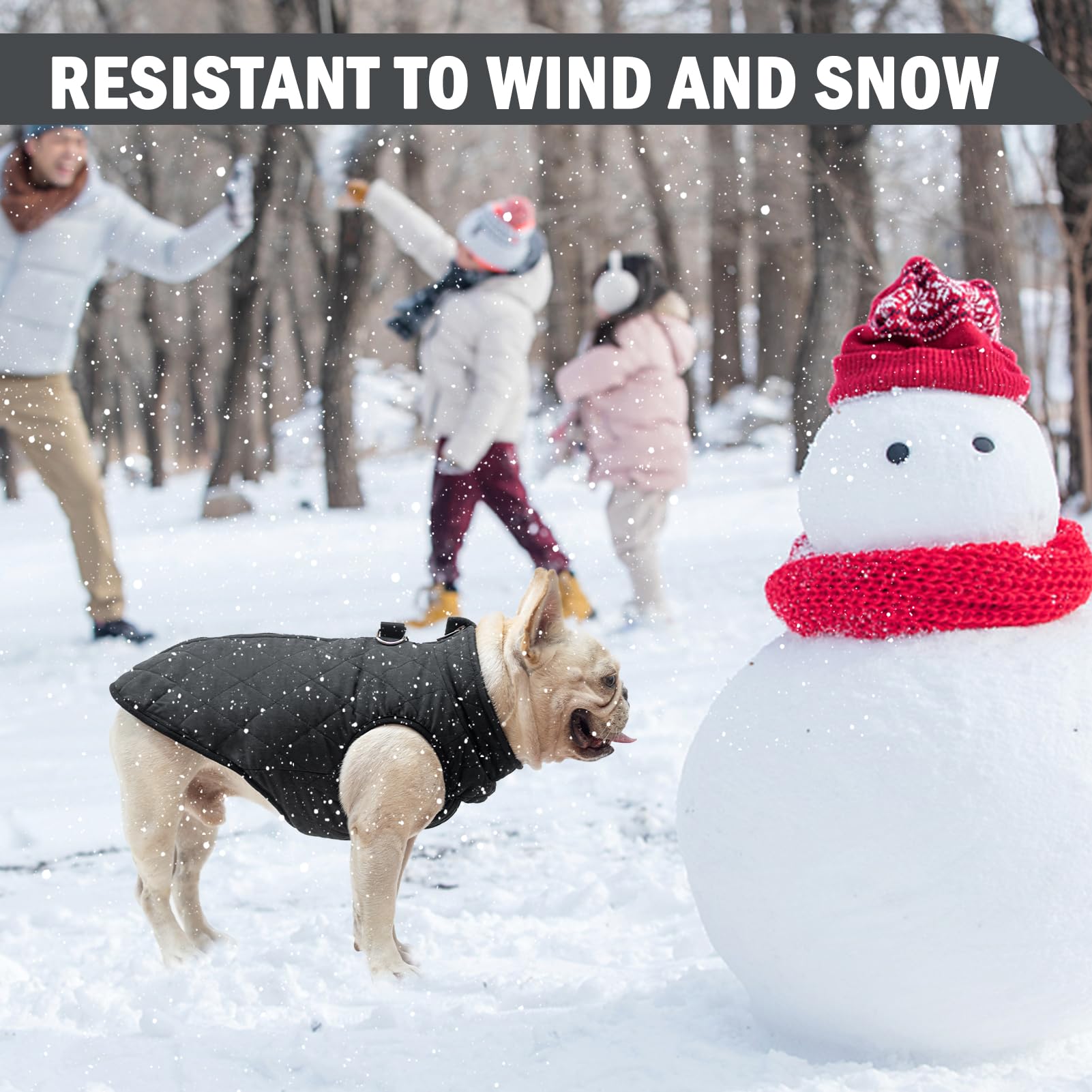 SCENEREAL tough outer fabric highlights durability in snowy walks.