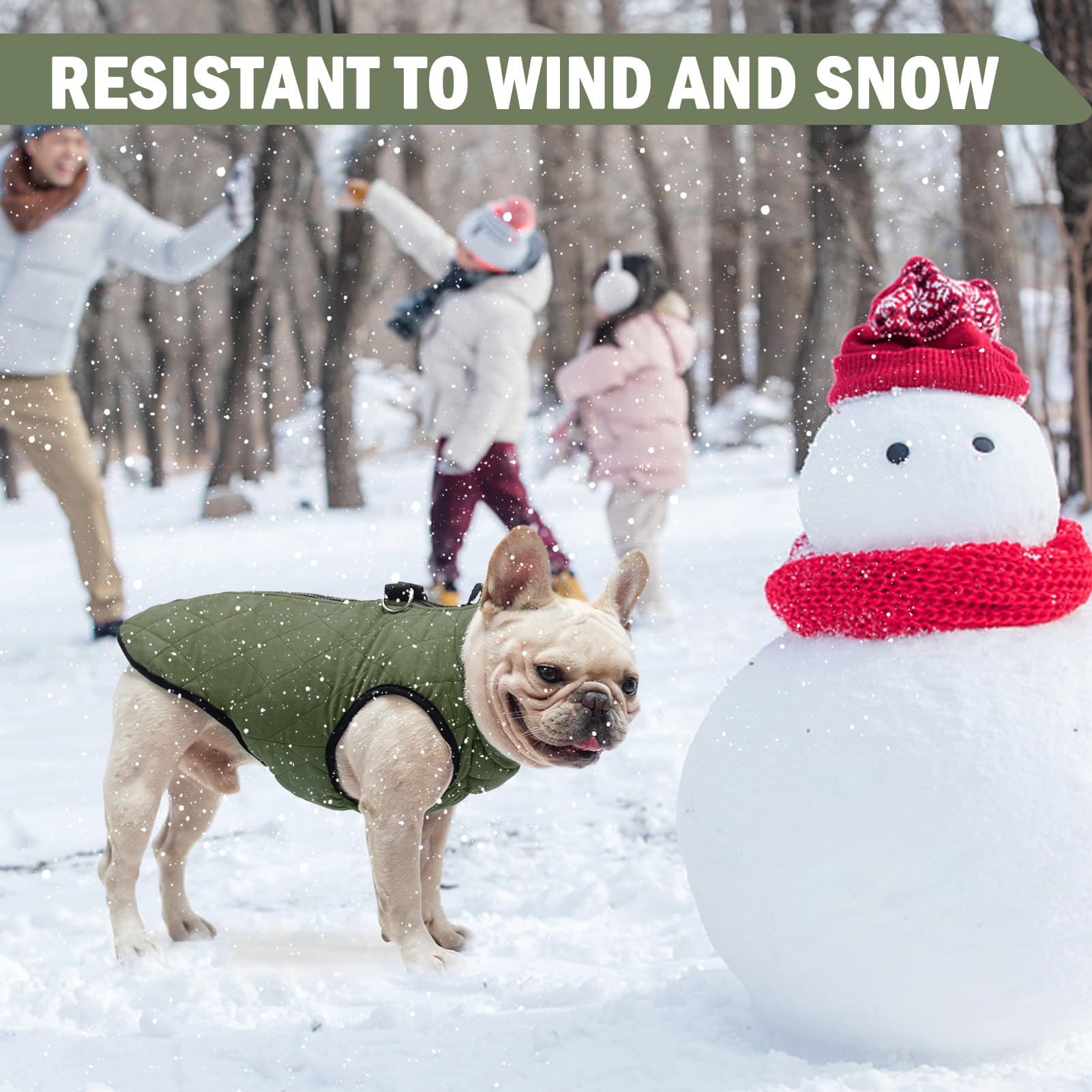 SCENEREAL winter dog vest chest elastic band for snug warmth.