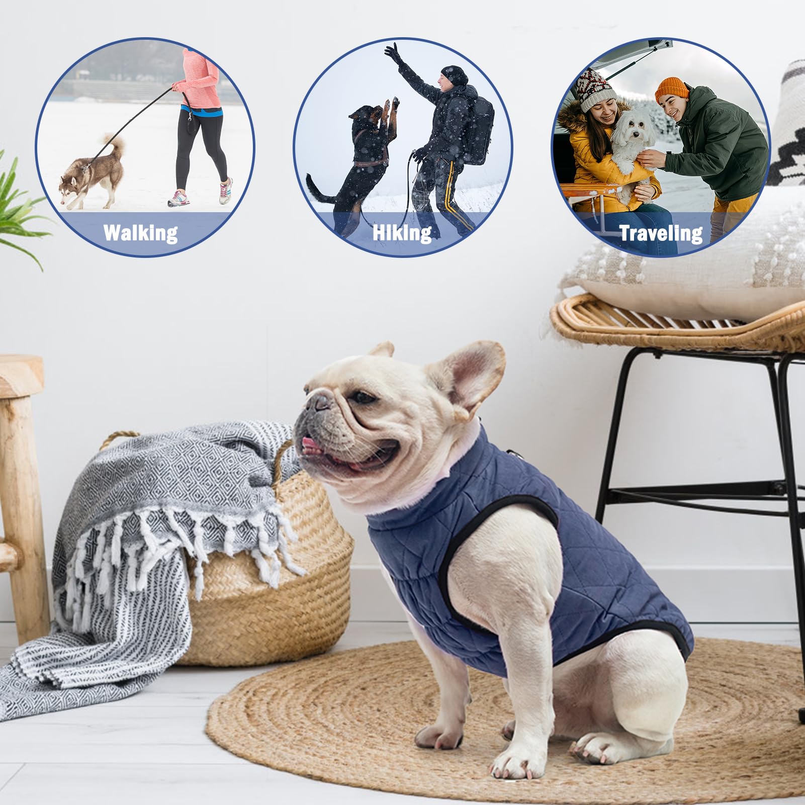 SCENEREAL winter dog vest elastic chest band enhances fit and warmth