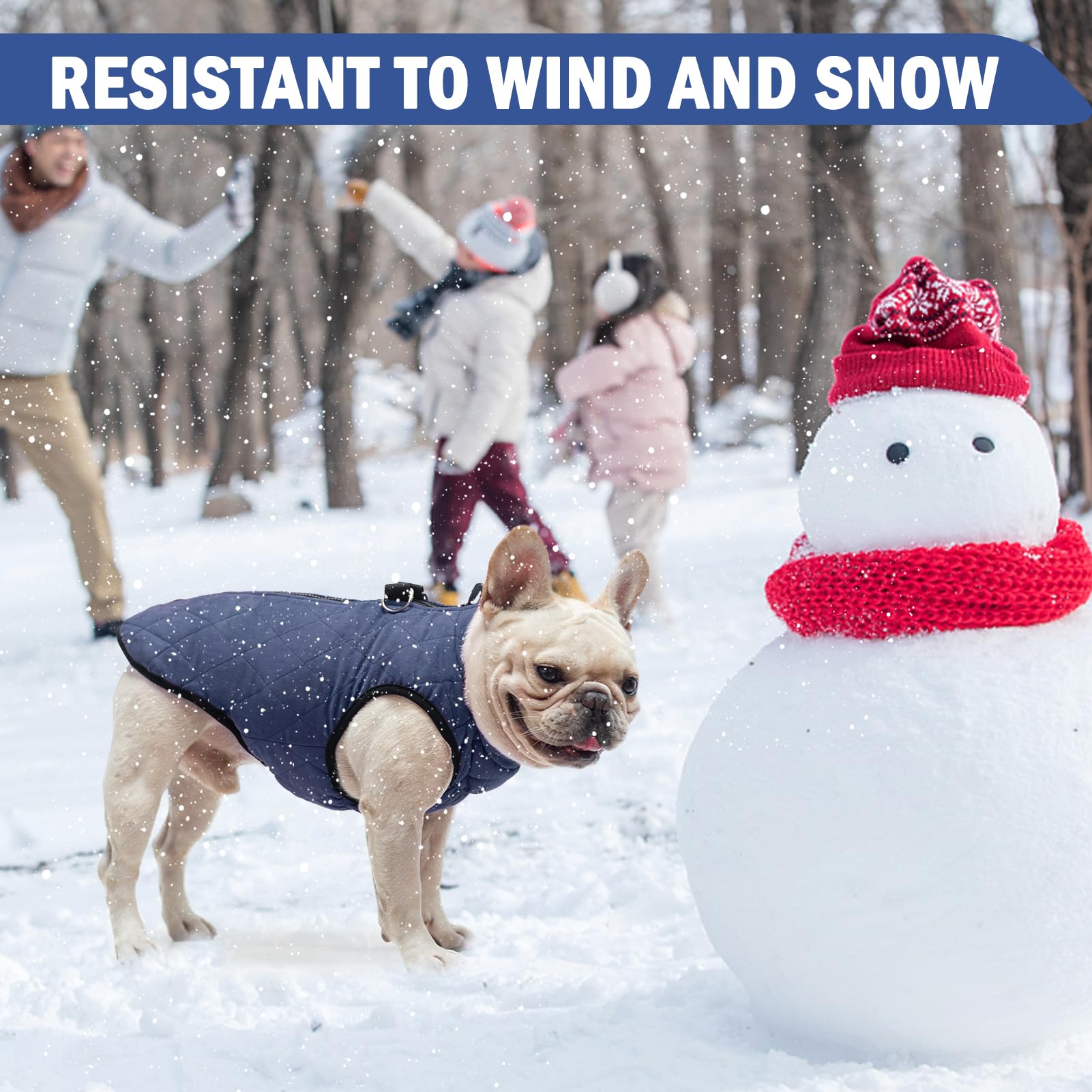 SCENEREAL winter dog vest built-in harness for easy leash use