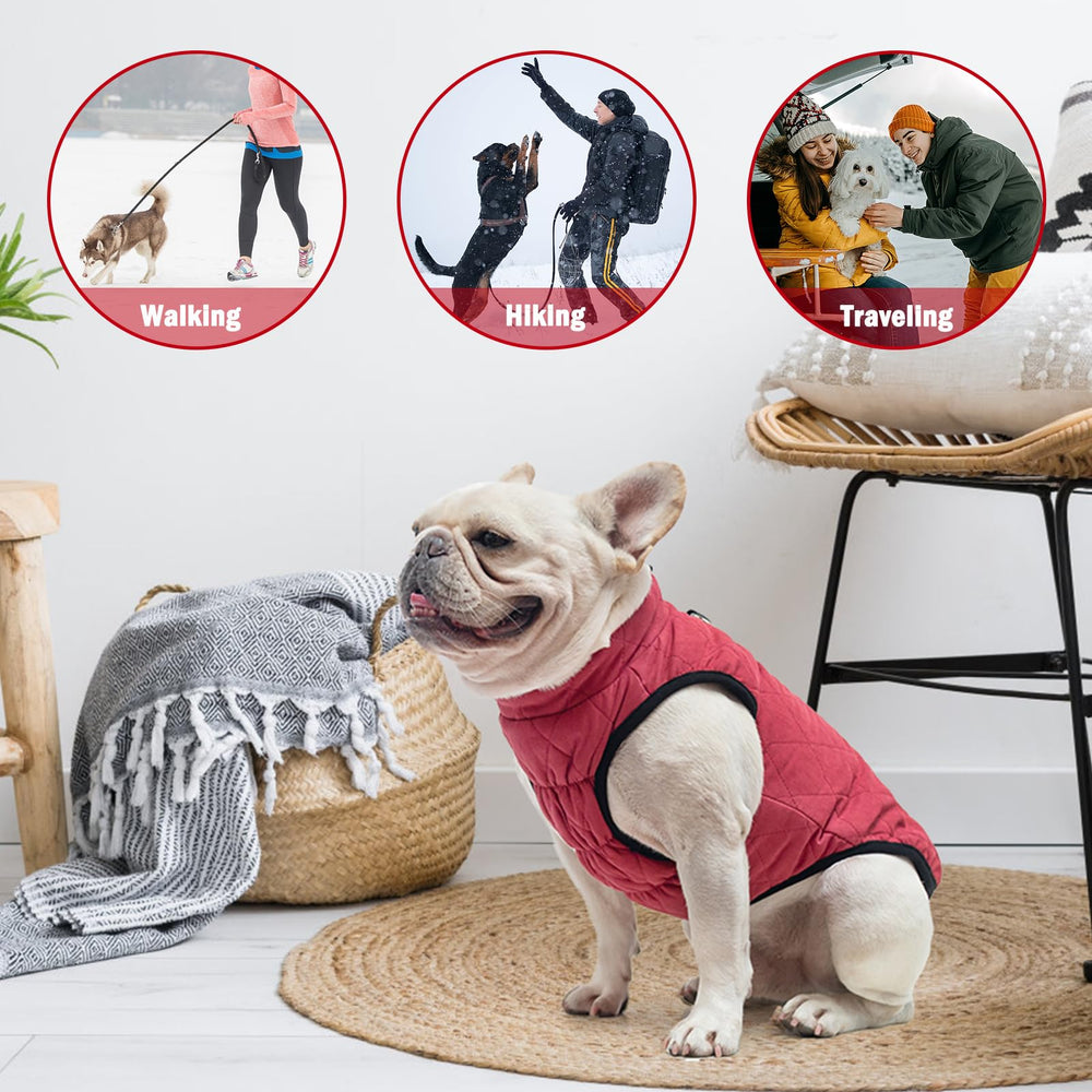SCENEREAL Winter Vest Coat size guide helps select the right fit for small to medium dogs.