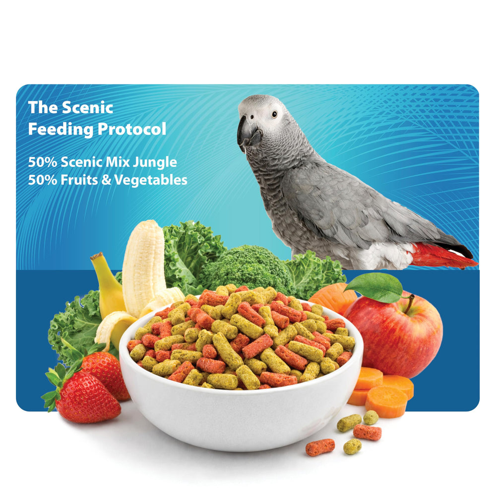 Scenic Mix Jungle: oméga3 et vitamines pour la vitalité générale des perroquets.