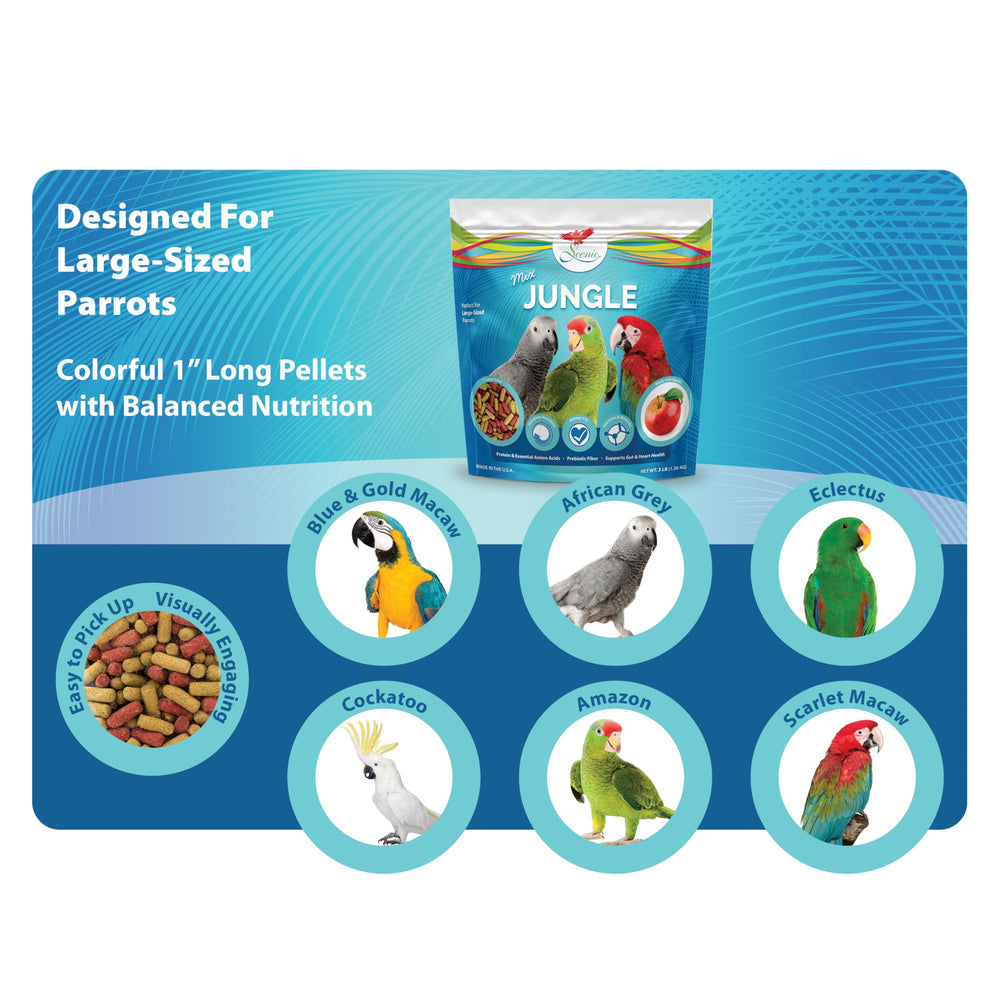 Scenic Mix Jungle: saveurs pomme et naturelles pour grands perroquets.