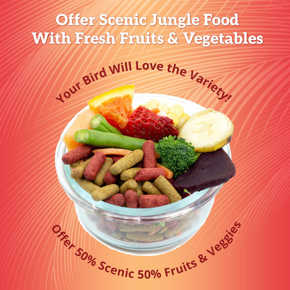 Scenic Mix Jungle vitamins minerals graphic illustrates immune-supporting nutrition for birds.