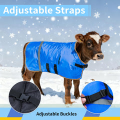 SCGFPOE winter calf coat adjustable straps ensure secure fit