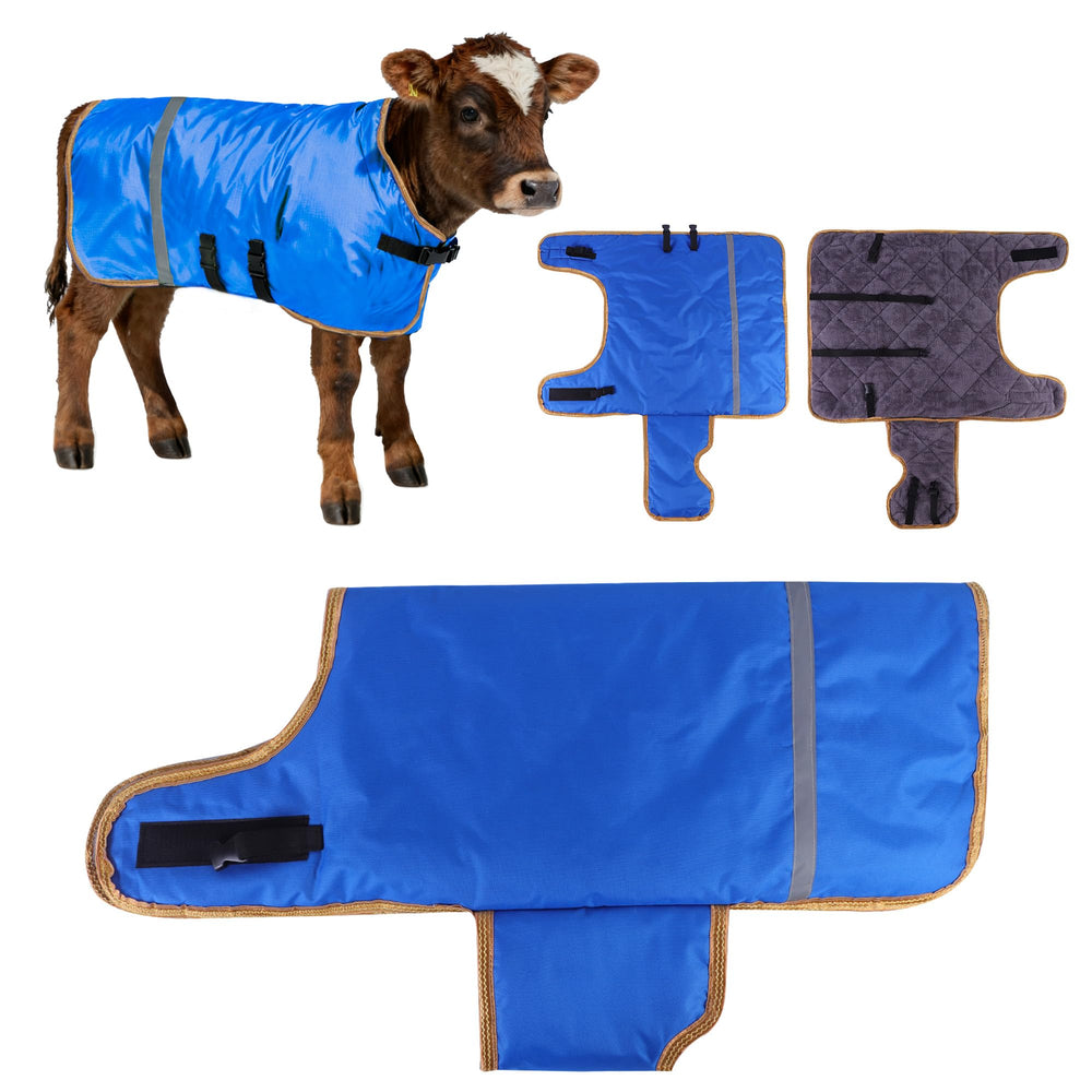 SCGFPOE winter calf coat gold trim close-up shows premium design