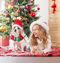 Scheppend Christmas scarf with six fur pom-poms for playful flair