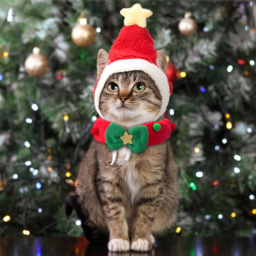 Scheppend pet outfit ready for Christmas photos and parties