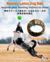 SCHITEC dental-texture ball close-up showing bumps for chewing