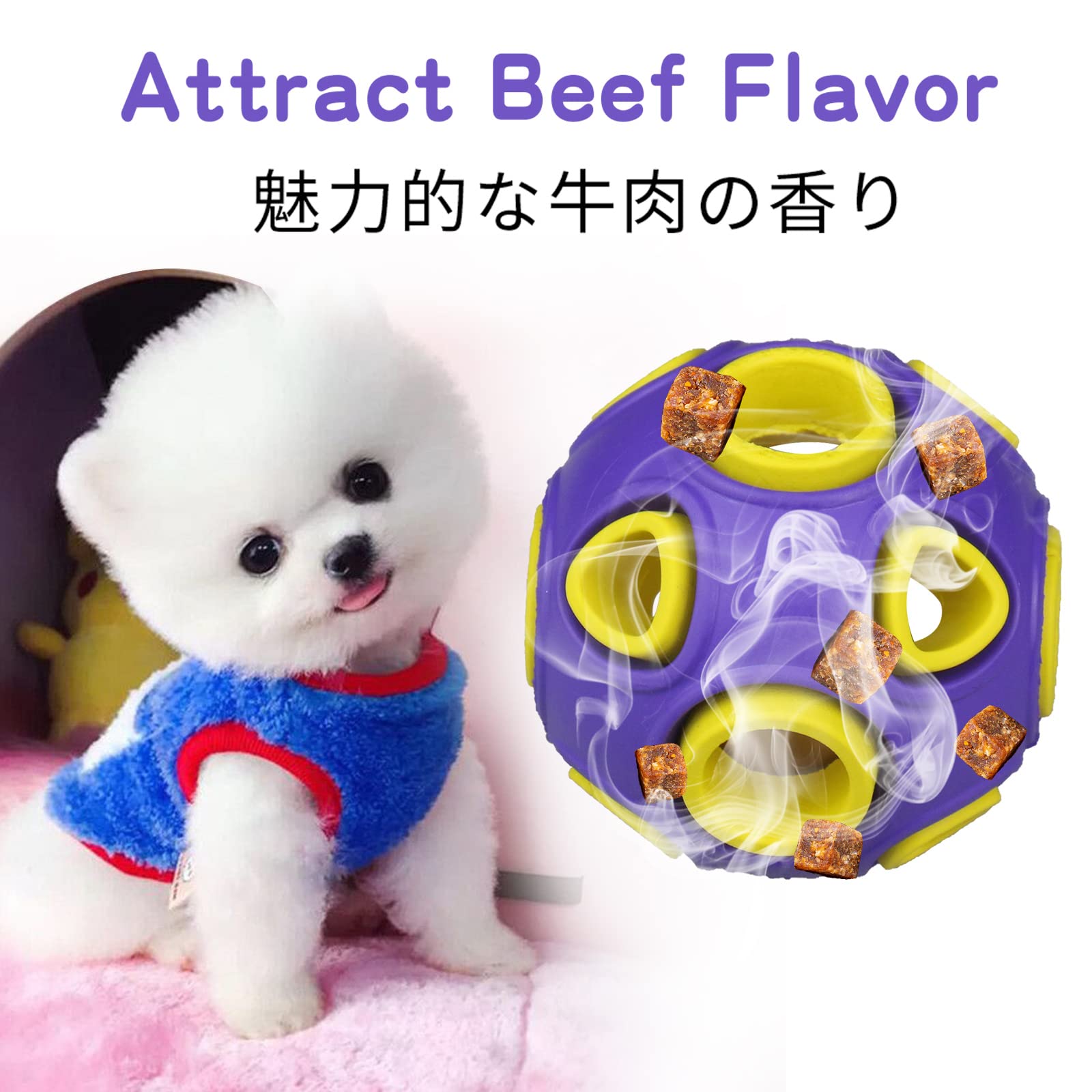 Dogs playing with SCHITEC fetch balls indoors and outdoors