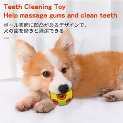 Soft rubber bouncy SCHITEC ball designed for gentle chewing