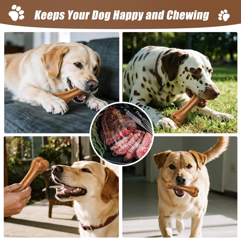 SCHITEC dog bone chew toy two-pack offers value and variety