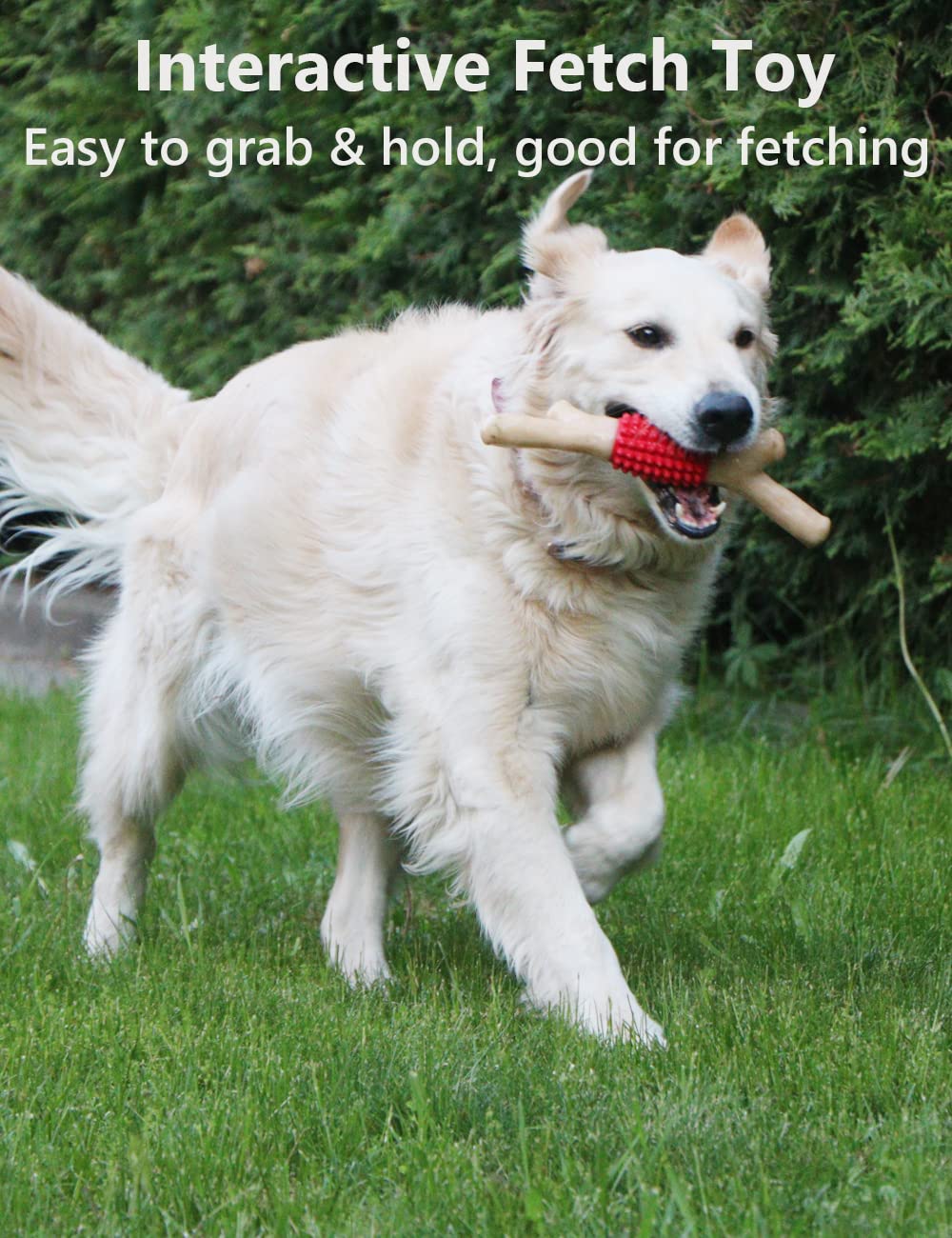 SCHITEC ideal for outdoor fetch and interactive play