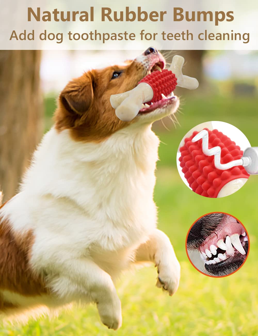 SCHITEC real bacon flavor attracts dogs during chew sessions