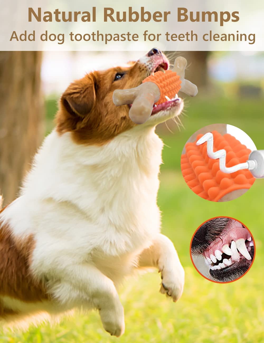 SCHITEC dog chew toy teeth-nubs closeup shows gum massage and teeth cleaning action.