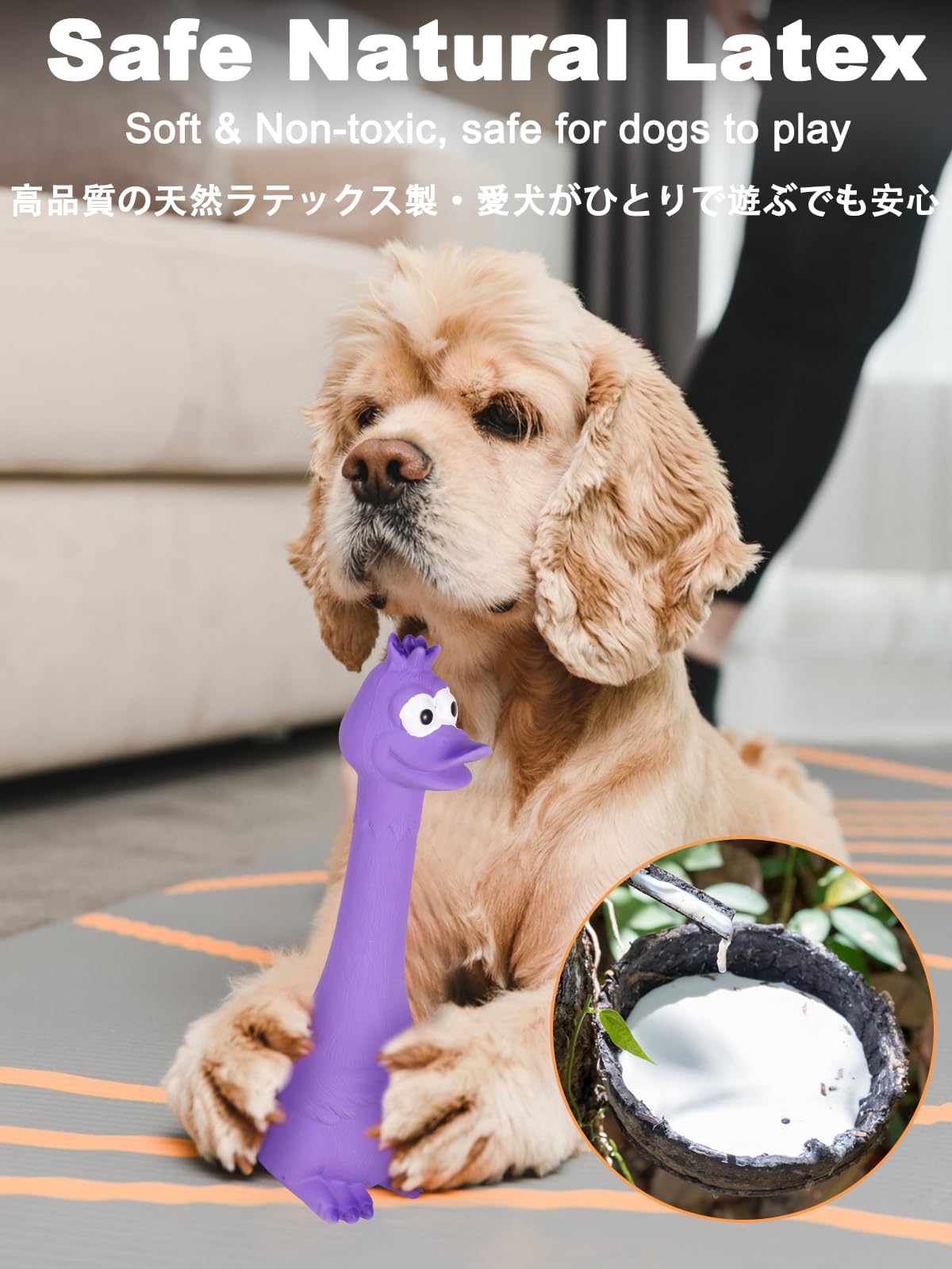 SCHITEC squawker toy in motion attracts dogs to interactive play