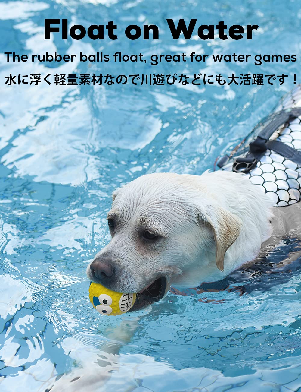 SCHITEC ball with teeth-nubs close-up shows dental-friendly texture.