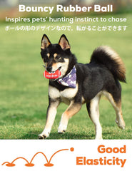 SCHITEC squeaky dog ball volleyball supports varied fetch use.