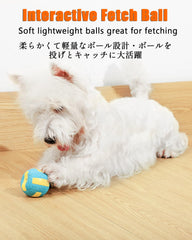 SCHITEC squeaky dog balls floating on water enable pool or lake fetch.