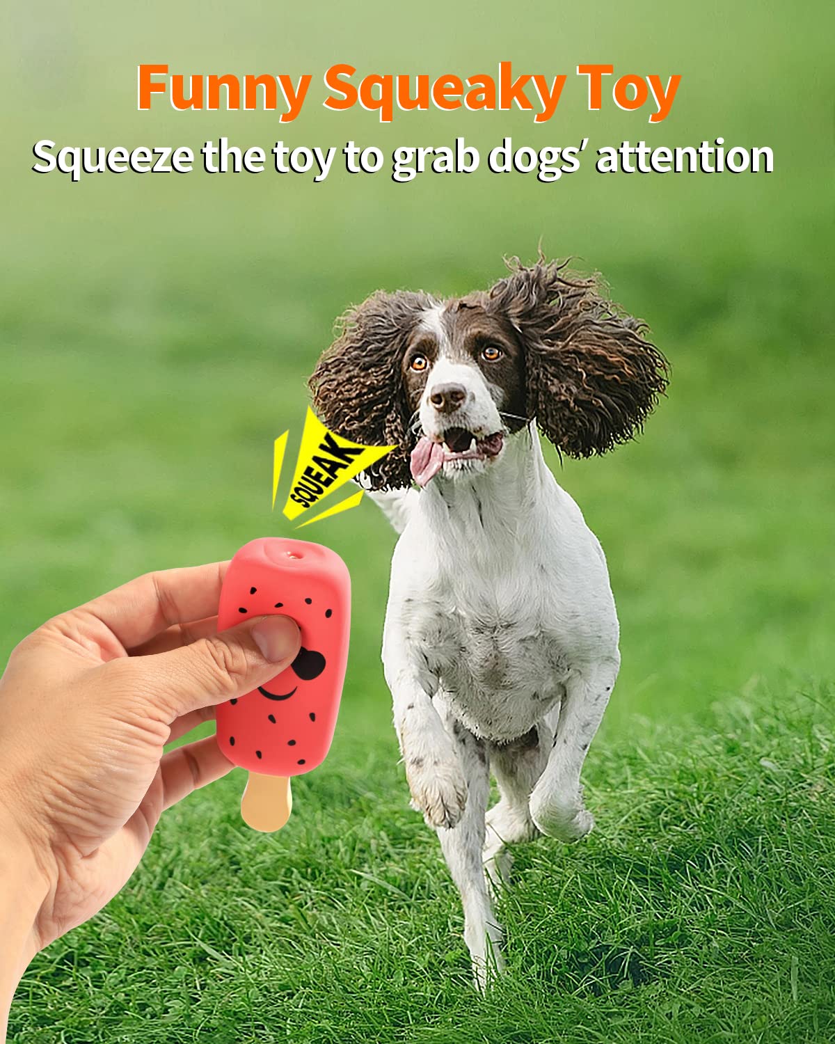 SCHITEC squeaky dog toy, closeup squeaker, engaging for interactive fetching.