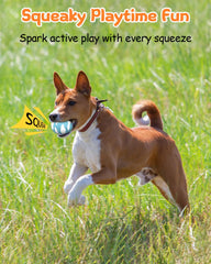 SCHITEC Squeaky Ball bounce fuels energetic fetch sessions