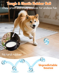 SCHITEC Squeaky Ball durable rubber withstands chewers during games
