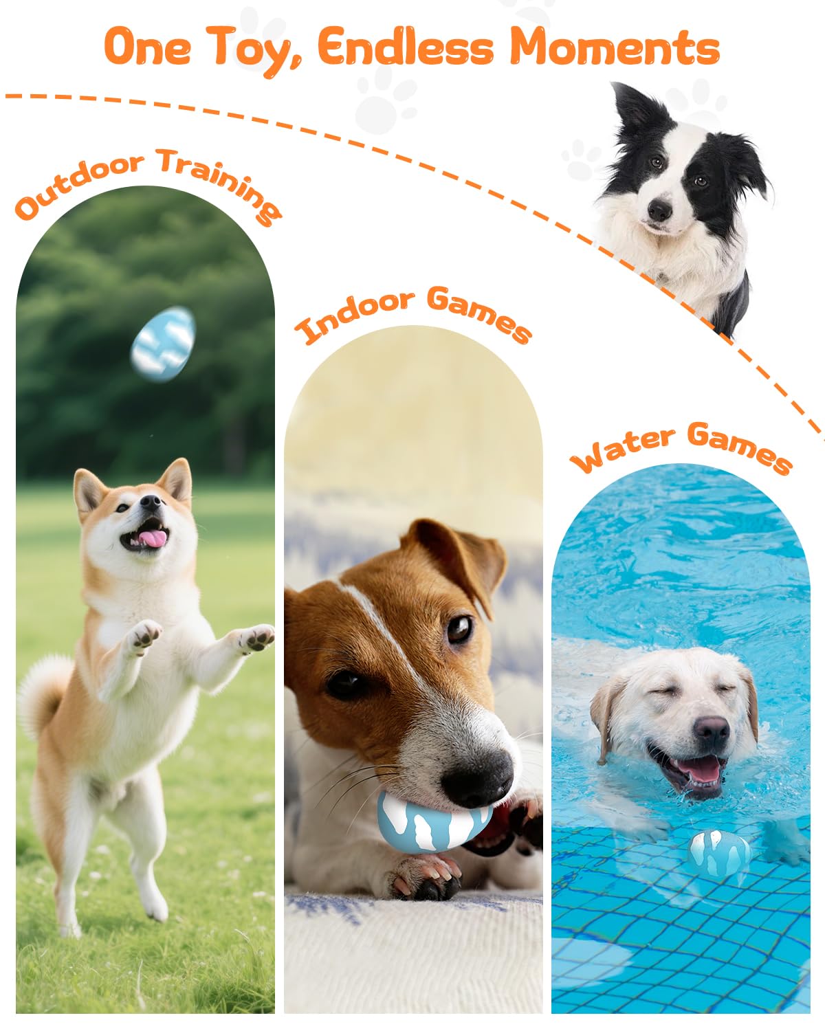 SCHITEC Squeaky Ball available in medium size