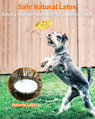 SCHITEC pack of interactive dog toys, action shot, great for training and play.