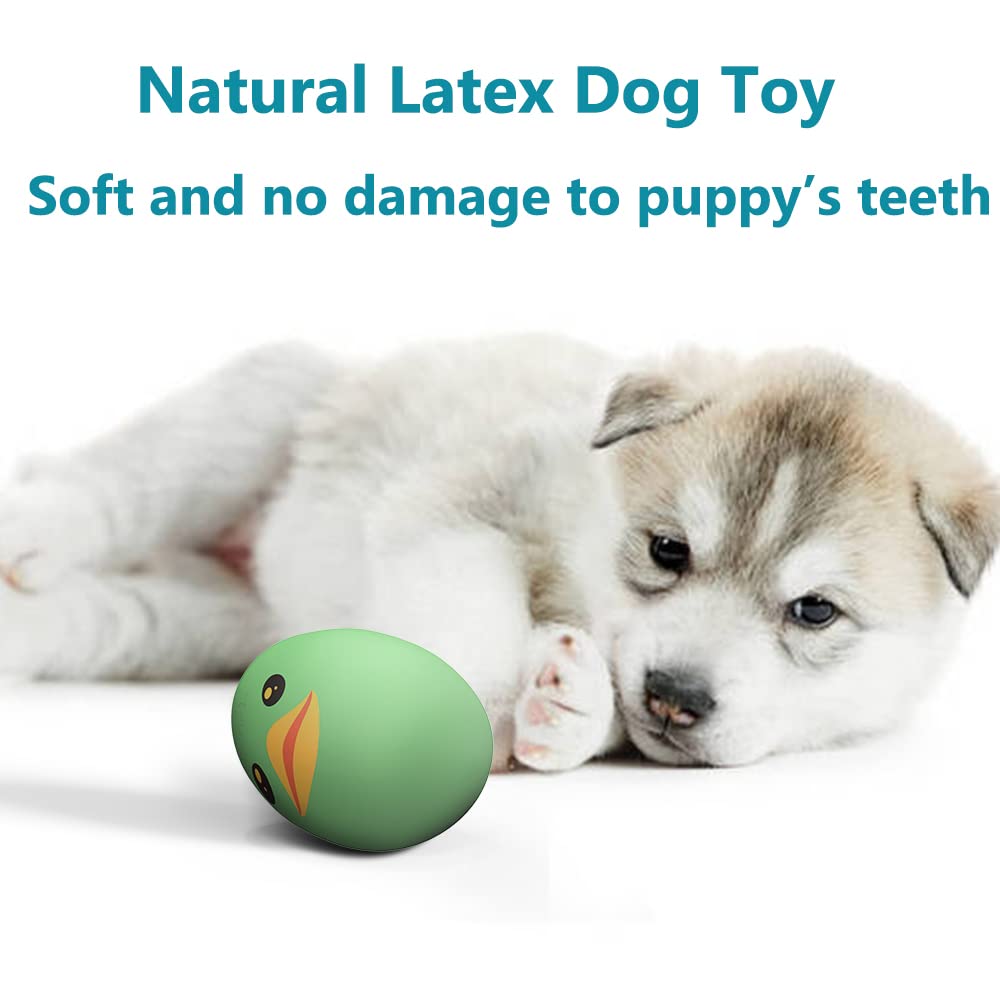 SCHITEC toy pack image demonstrates variety, colors, and interactive entertainment