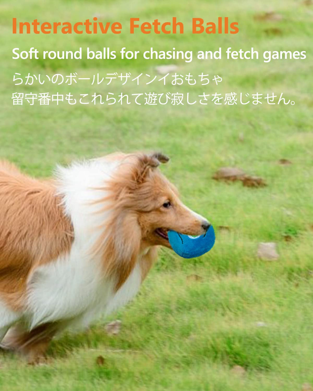 SCHITEC Squeaky Dog Toys closeup squeaker illustrates attention-grabbing sound during play.