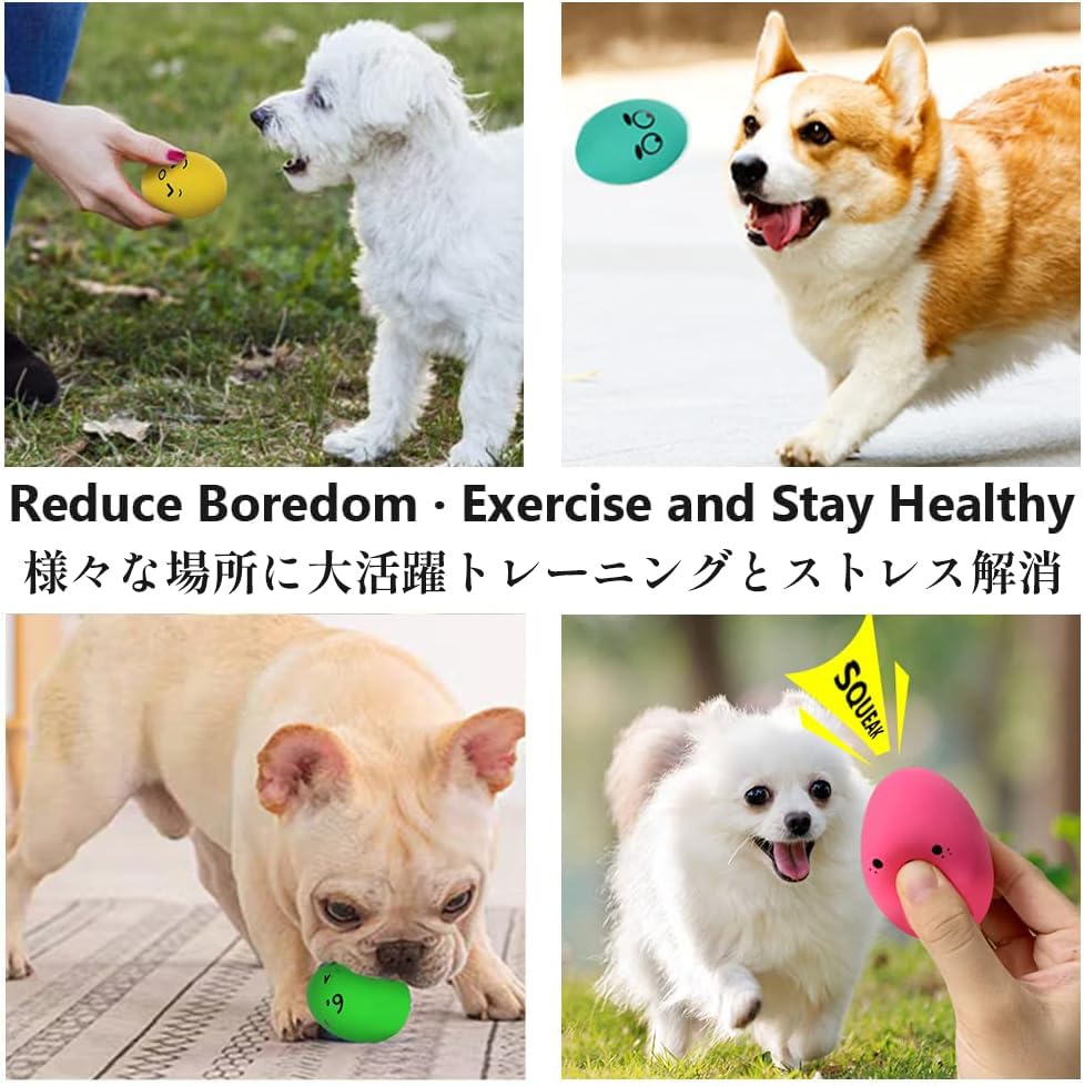 SCHITEC puppy-friendly fetch play scene, ideal for small dogs.