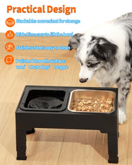 SCHITEC 1.6L bowls with rust-resistant stainless steel, ideal for busy multi-pet homes