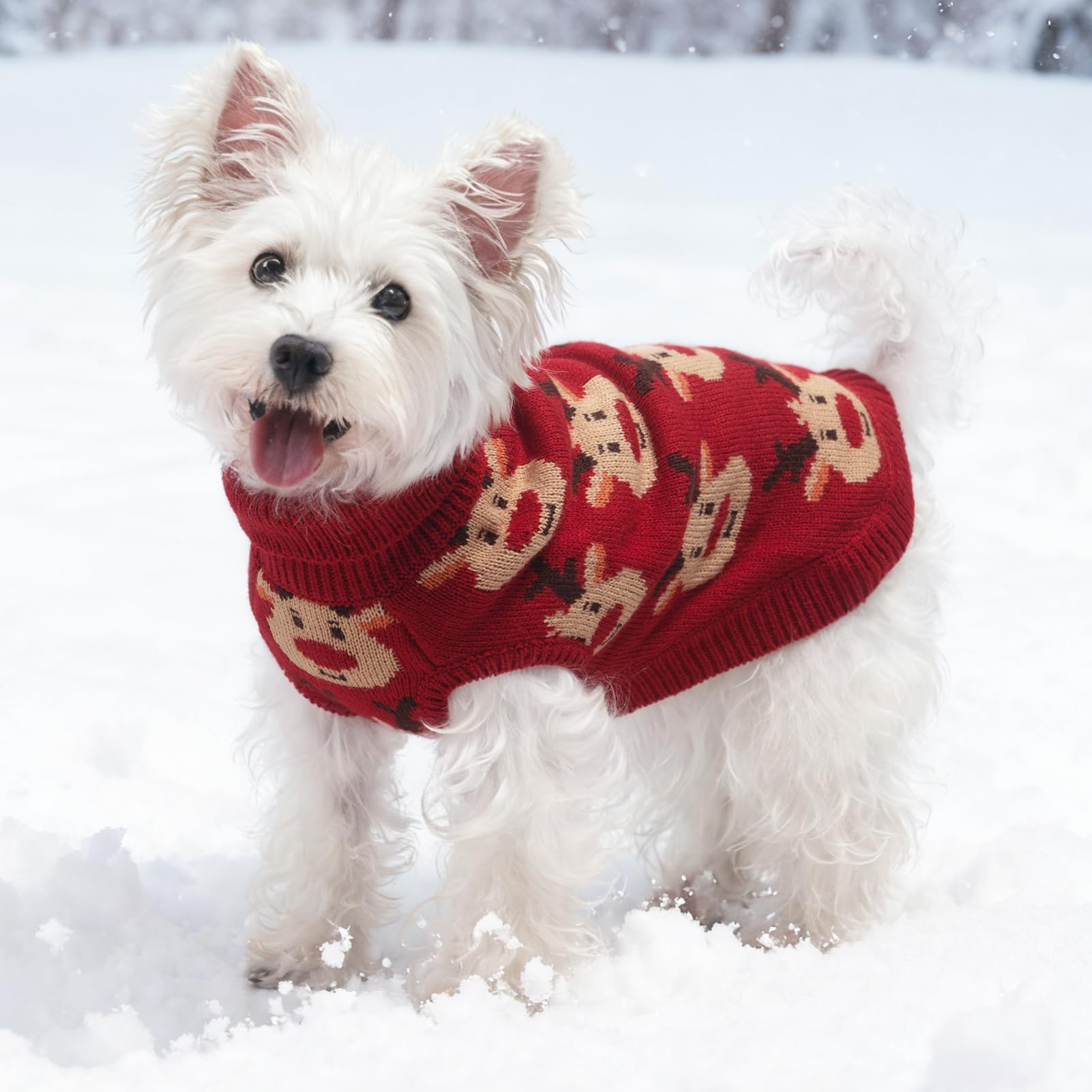 SCIROKKO back hole enables leash and harness connection during strolls.