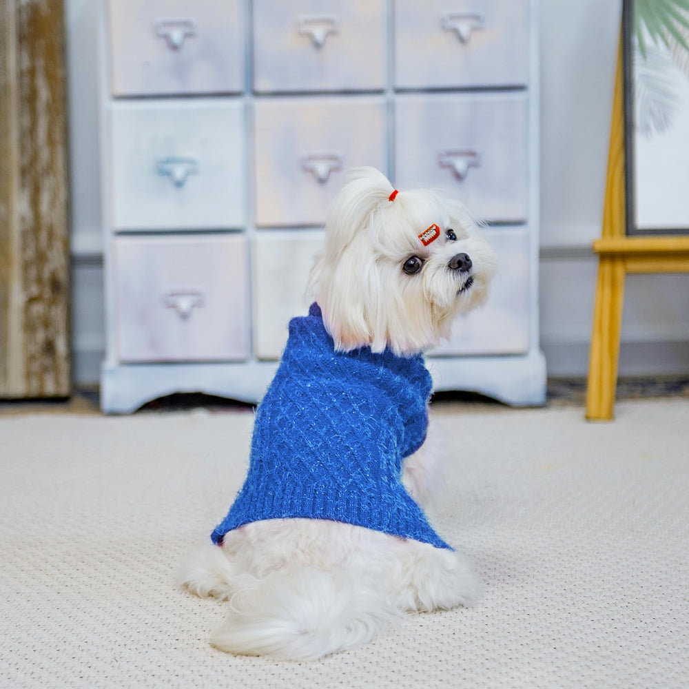 SCIROKKO leash-hole design keeps dogs visible during outdoor walks