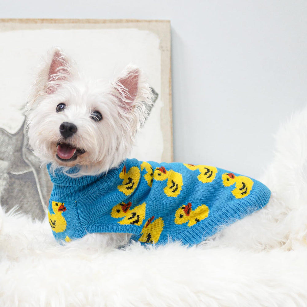 SCIROKKO dog sweater back hole shows easy leash attachment during walks