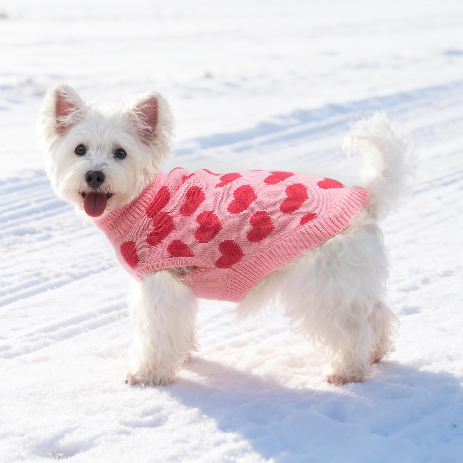 SCIROKKO dog sweater back-hole leash enables safe outdoor walks.