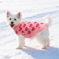 SCIROKKO dog sweater back-hole leash enables safe outdoor walks.