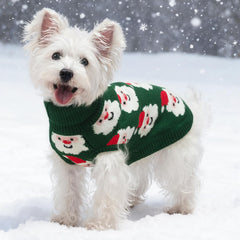 SCIROKKO dog sweater elastic collar ensures snug fit during outings
