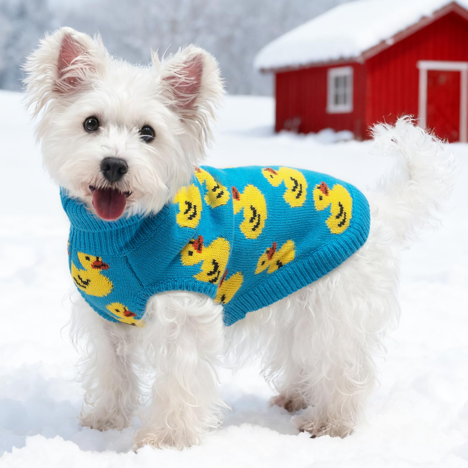 SCIROKKO dog sweater lapel design adds cozy elegance